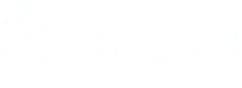 HAL149 - AI SEO & Sales Automation Agency | Business AI Training