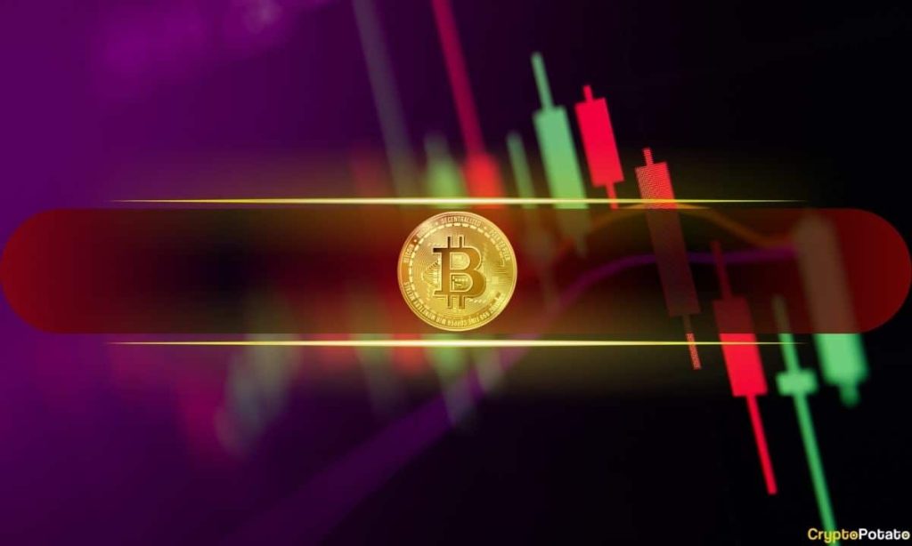 🚀 Bitcoin Down, Meme Coins Dip: Market Struggles Continue 🌕🔻